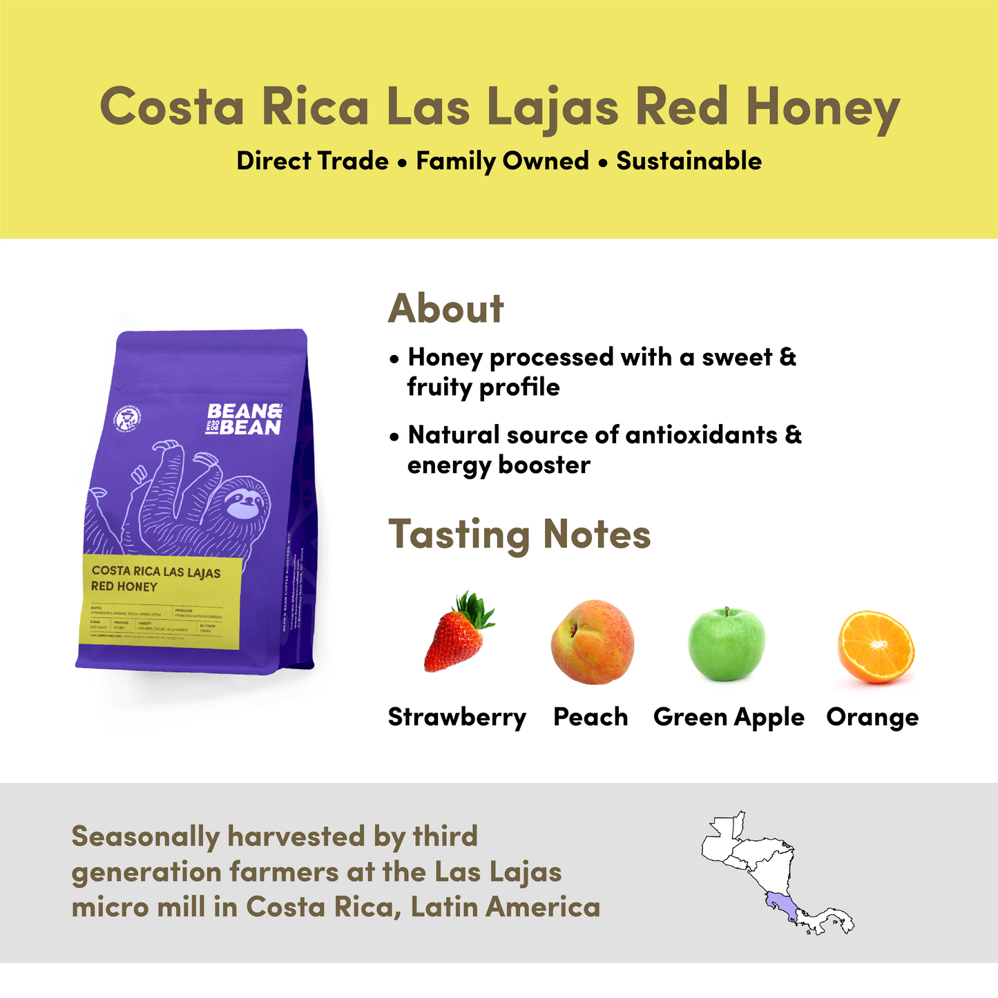
                  
                    Costa Rica Las Lajas Red Honey by Bean & Bean Coffee Roasters
                  
                
