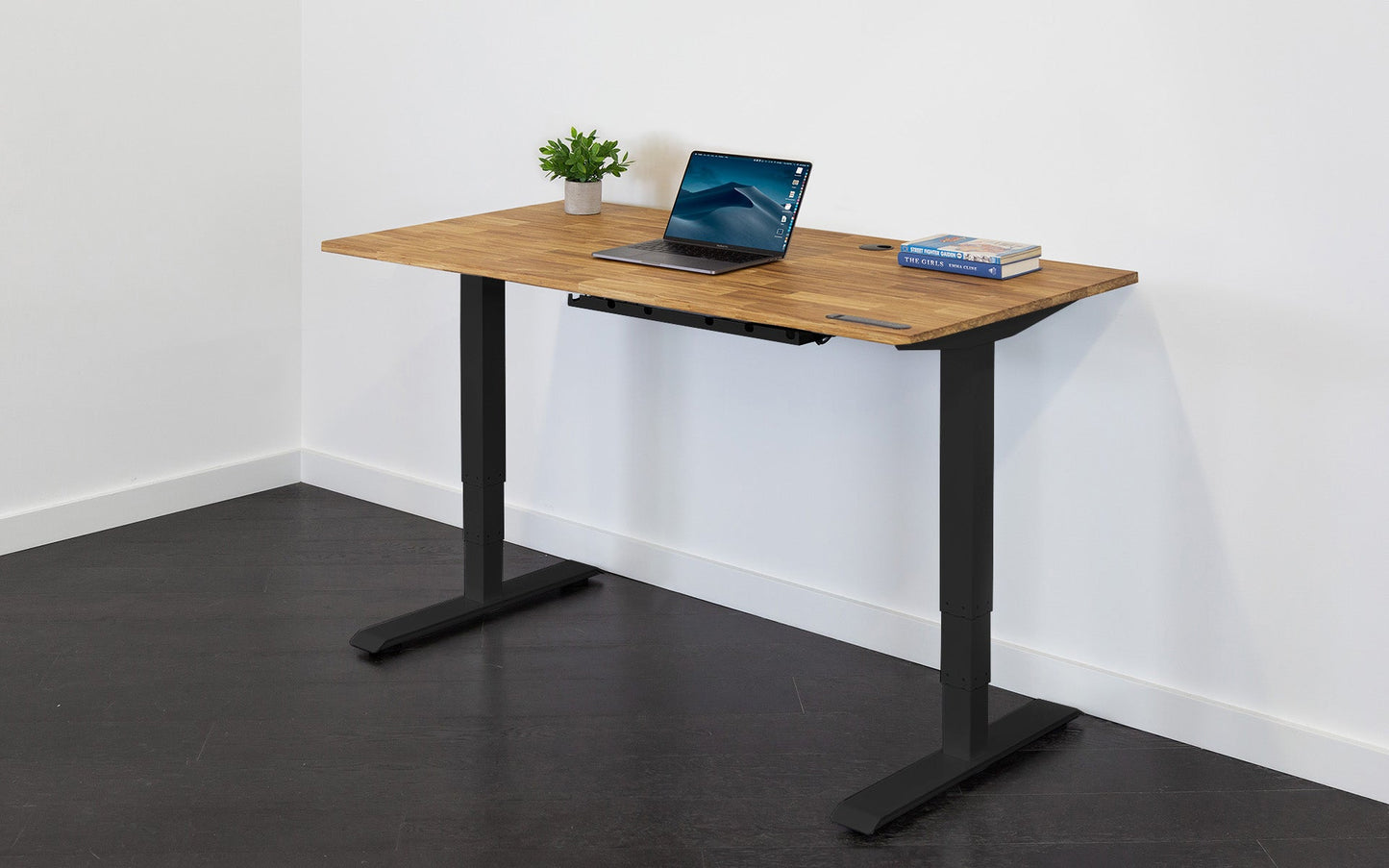 
                  
                    TerraDesk | Eco-Friendly Height-Adjustable Electric Standing Desk by EFFYDESK
                  
                