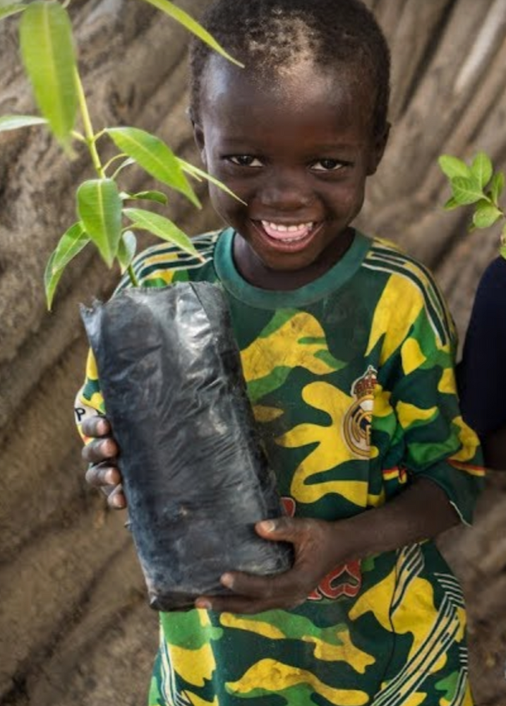 Trees for the Future and Reforestation in Africa