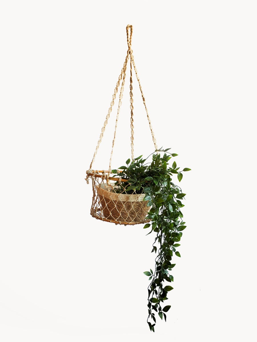 
                  
                    Jhuri Single Hanging Basket by KORISSA
                  
                
