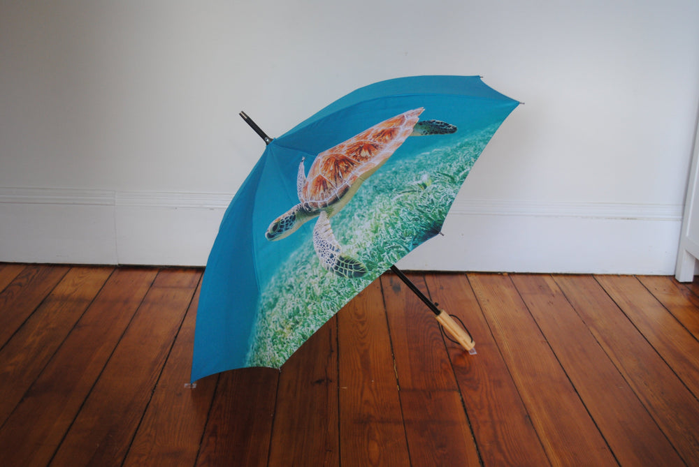 
                  
                    Shelly the Sea Turtle by Dri Umbrellas
                  
                