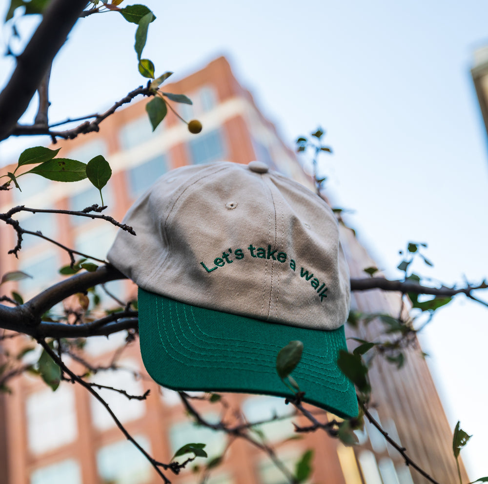 
                  
                    Take a Walk Cap by Fulton
                  
                