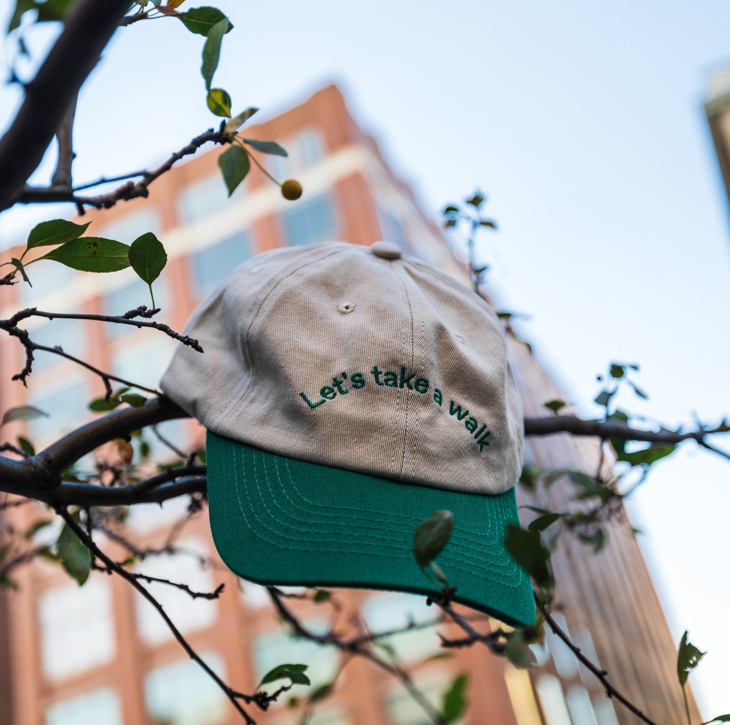 
                  
                    Take a Walk Cap by Fulton
                  
                