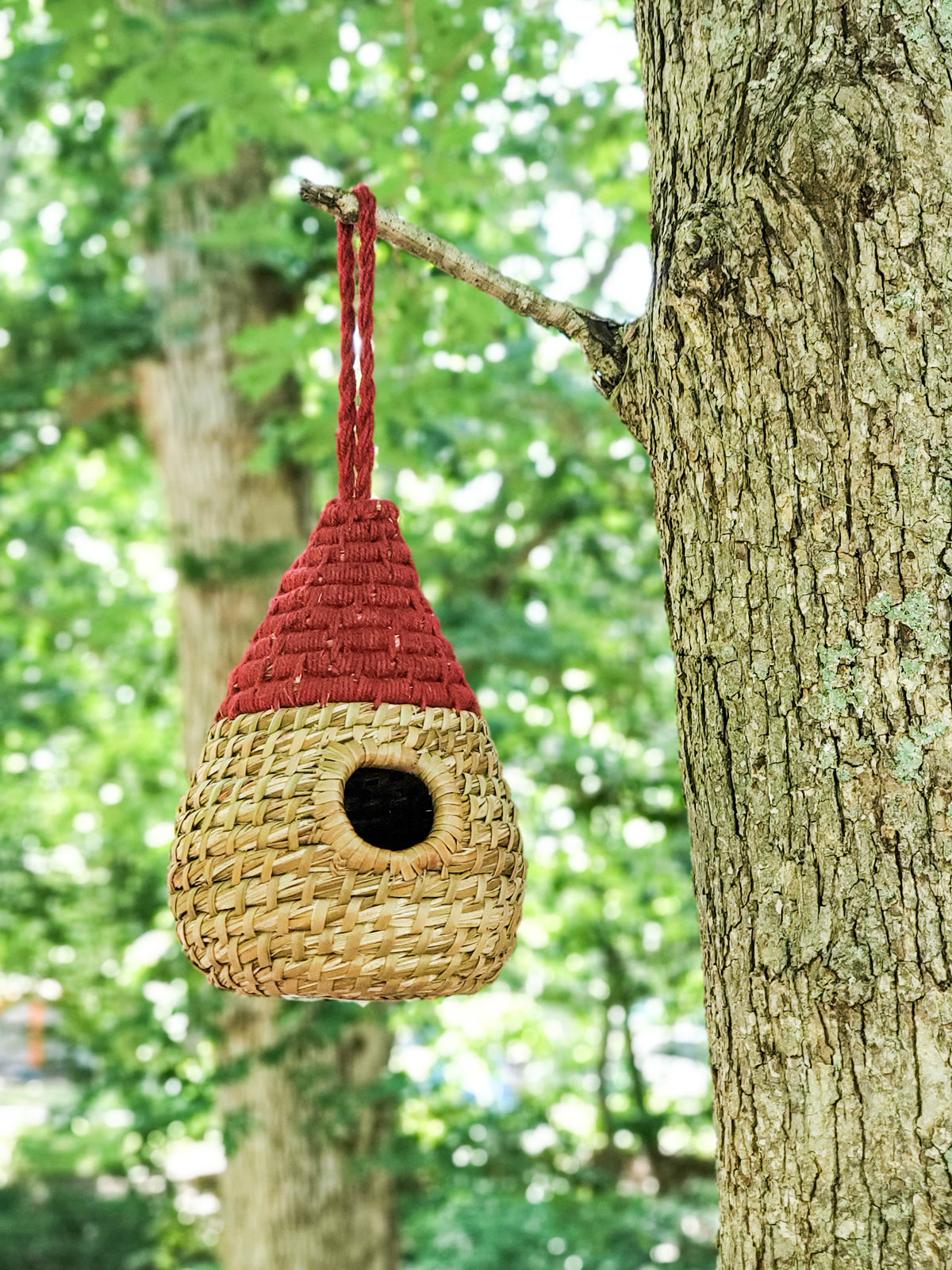 
                  
                    Seagrass Birdhouse - Dewdrop by KORISSA
                  
                
