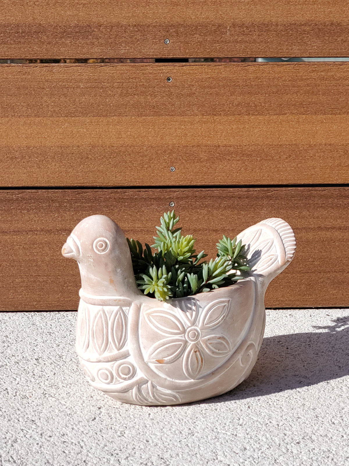 
                  
                    Terracotta Pot - Spotted Dove by KORISSA
                  
                