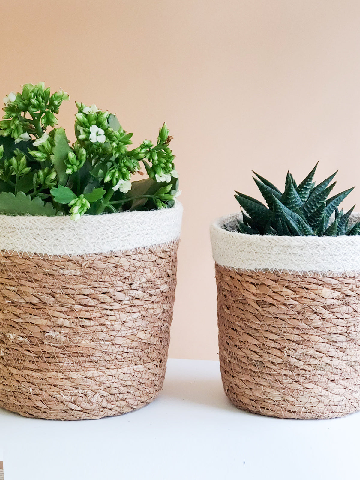 
                  
                    Savar Plant Basket by KORISSA
                  
                