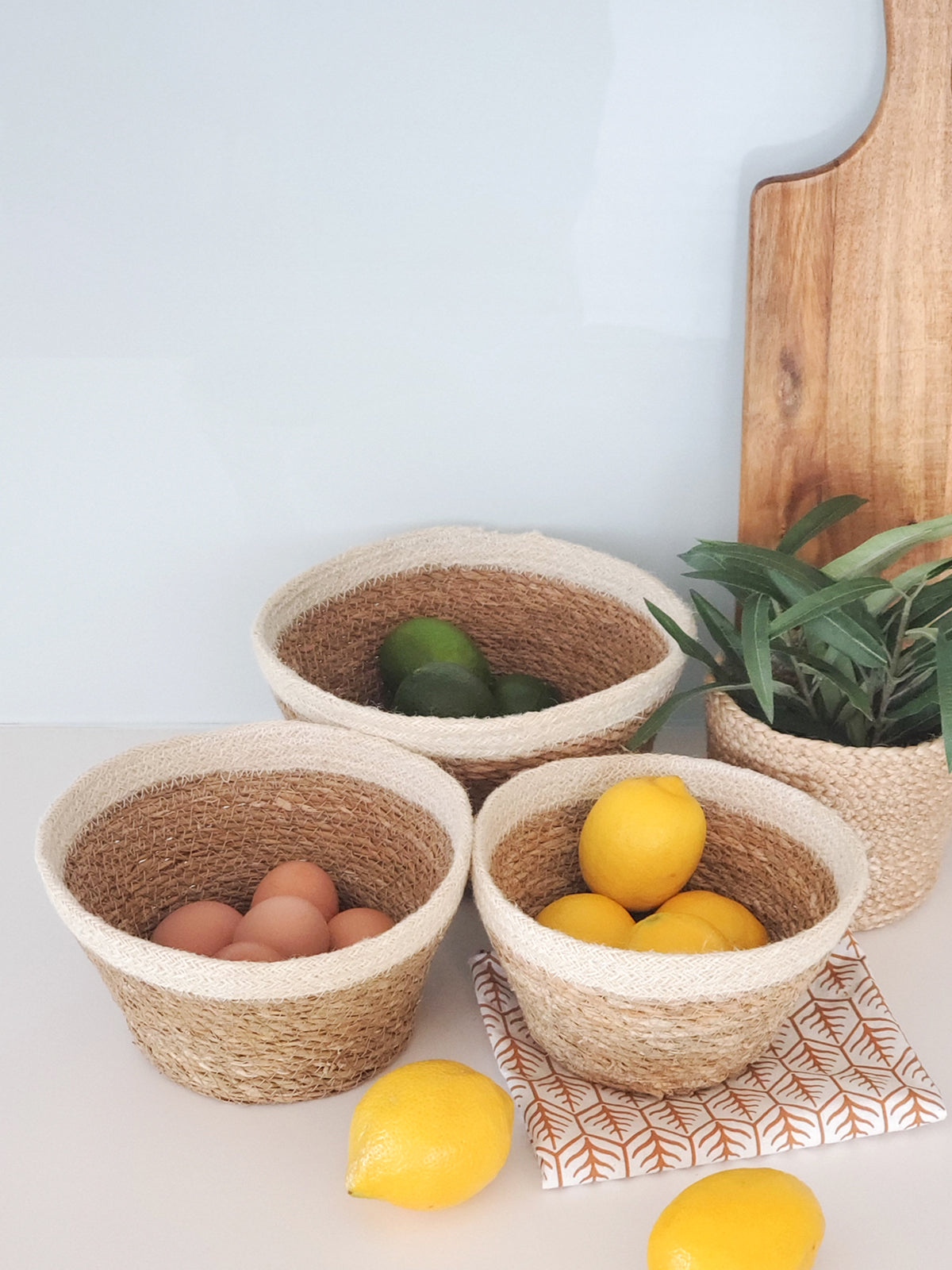 
                  
                    Savar Plant Bowl (Set of 3) by KORISSA
                  
                