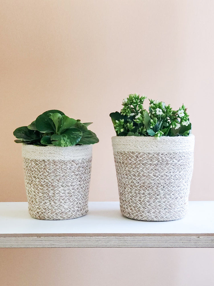 
                  
                    Agora Plant Basket - White by KORISSA
                  
                