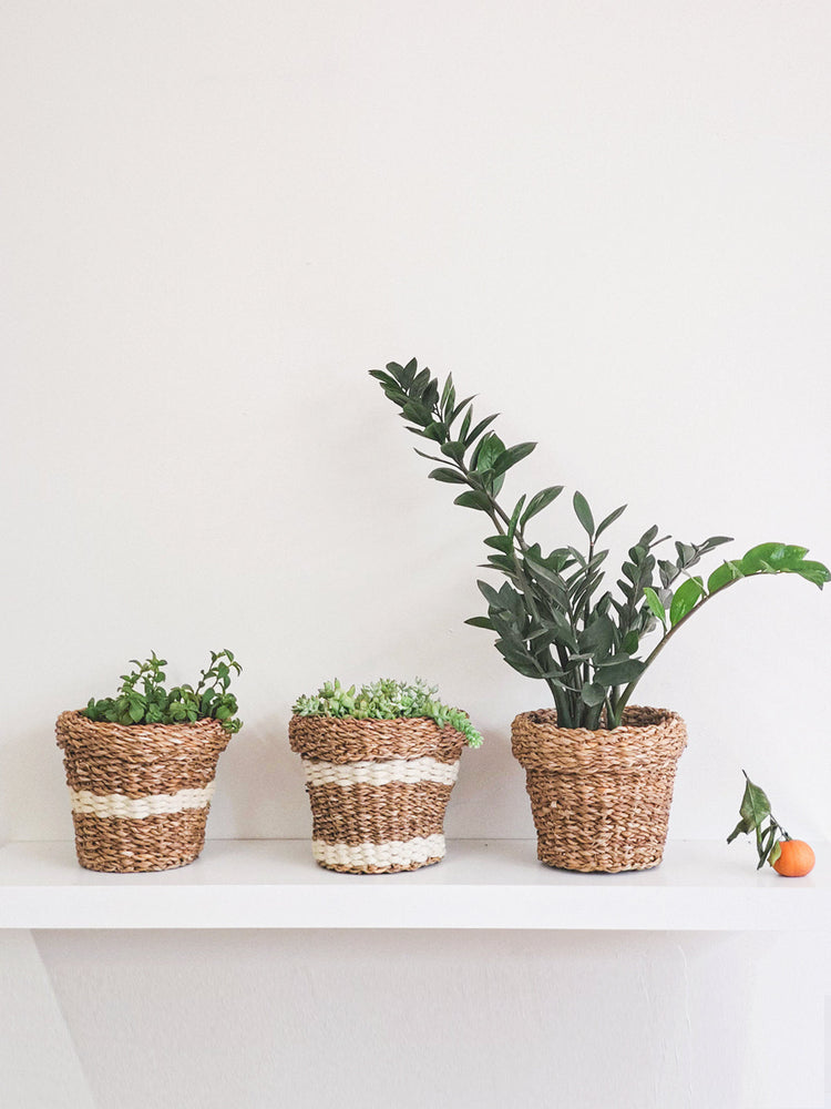 
                  
                    Savar Nesting Plant Basket by KORISSA
                  
                