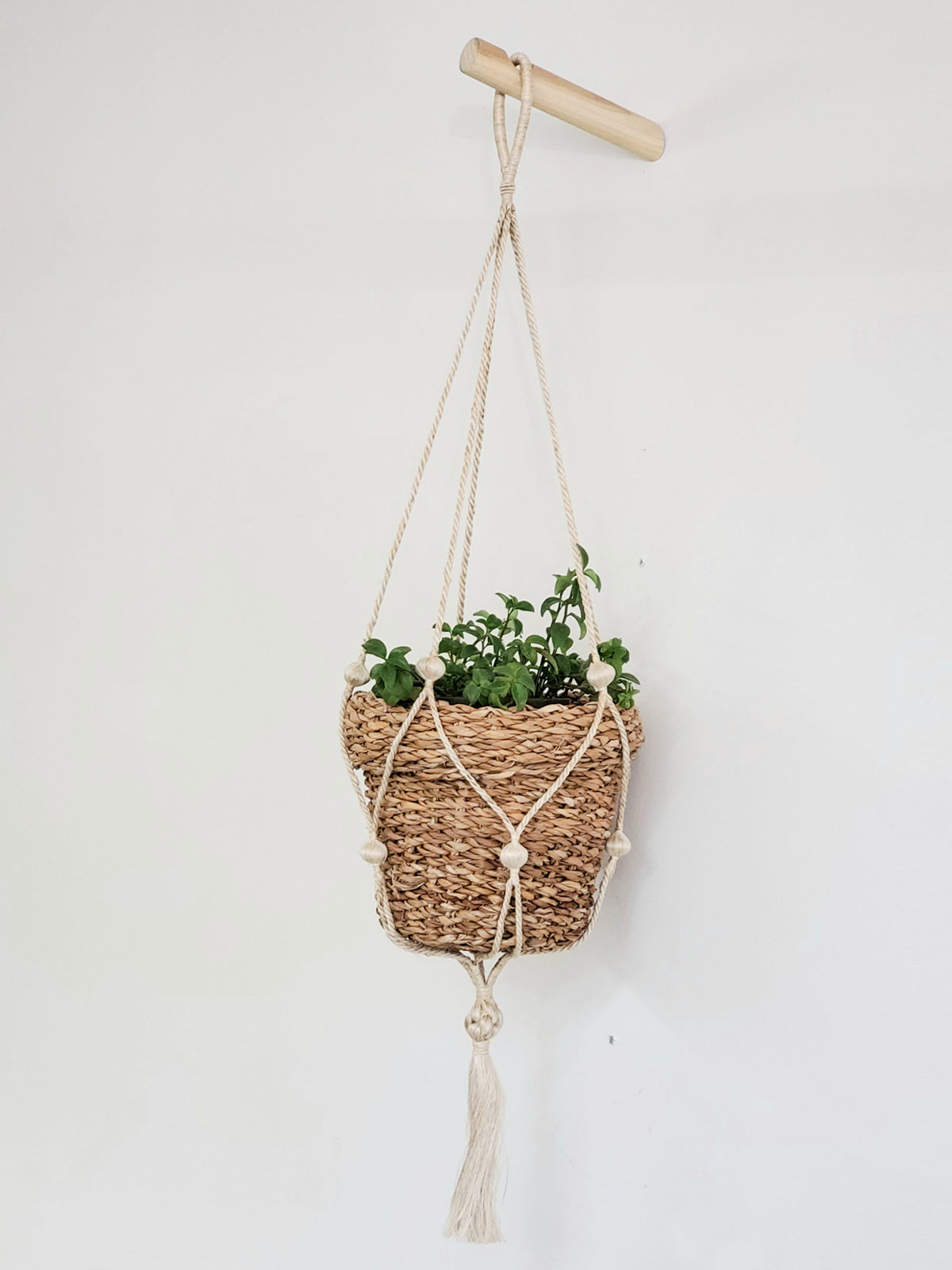 
                  
                    Savar Nesting Plant Basket by KORISSA
                  
                