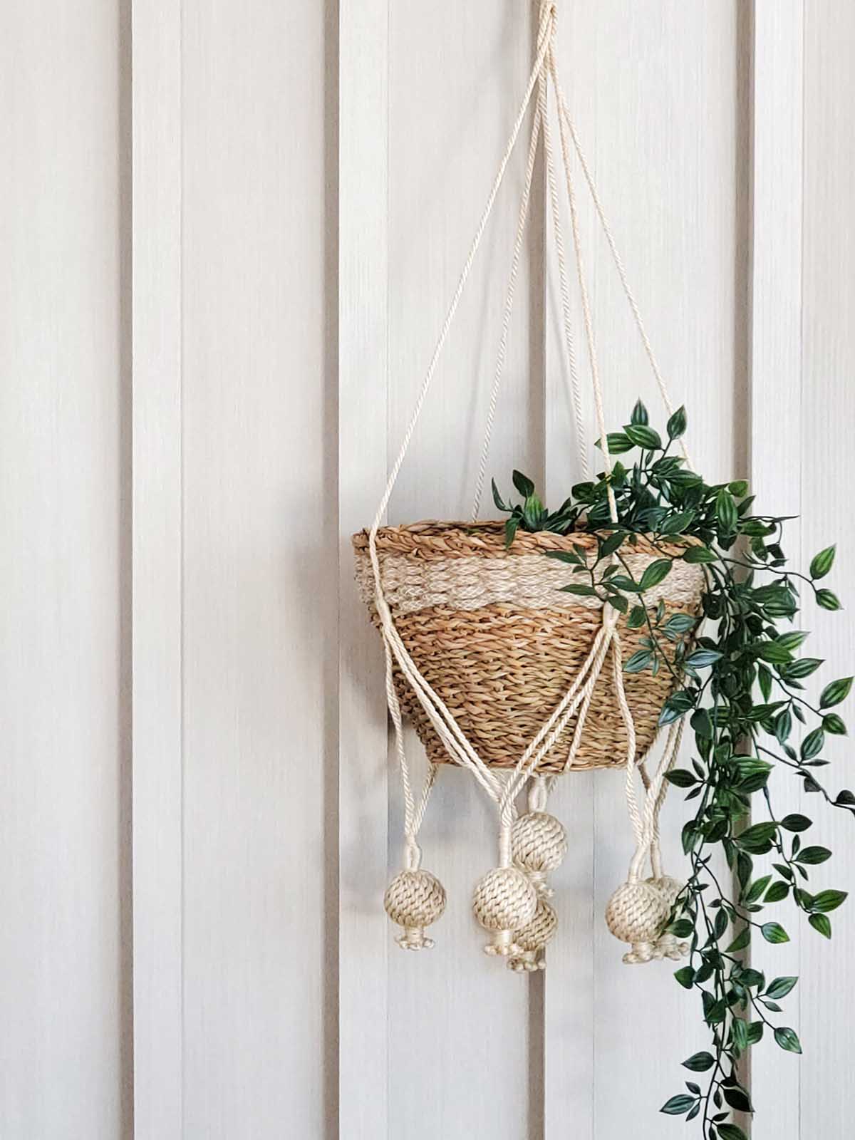 
                  
                    Plant Hanger - Kadam by KORISSA
                  
                