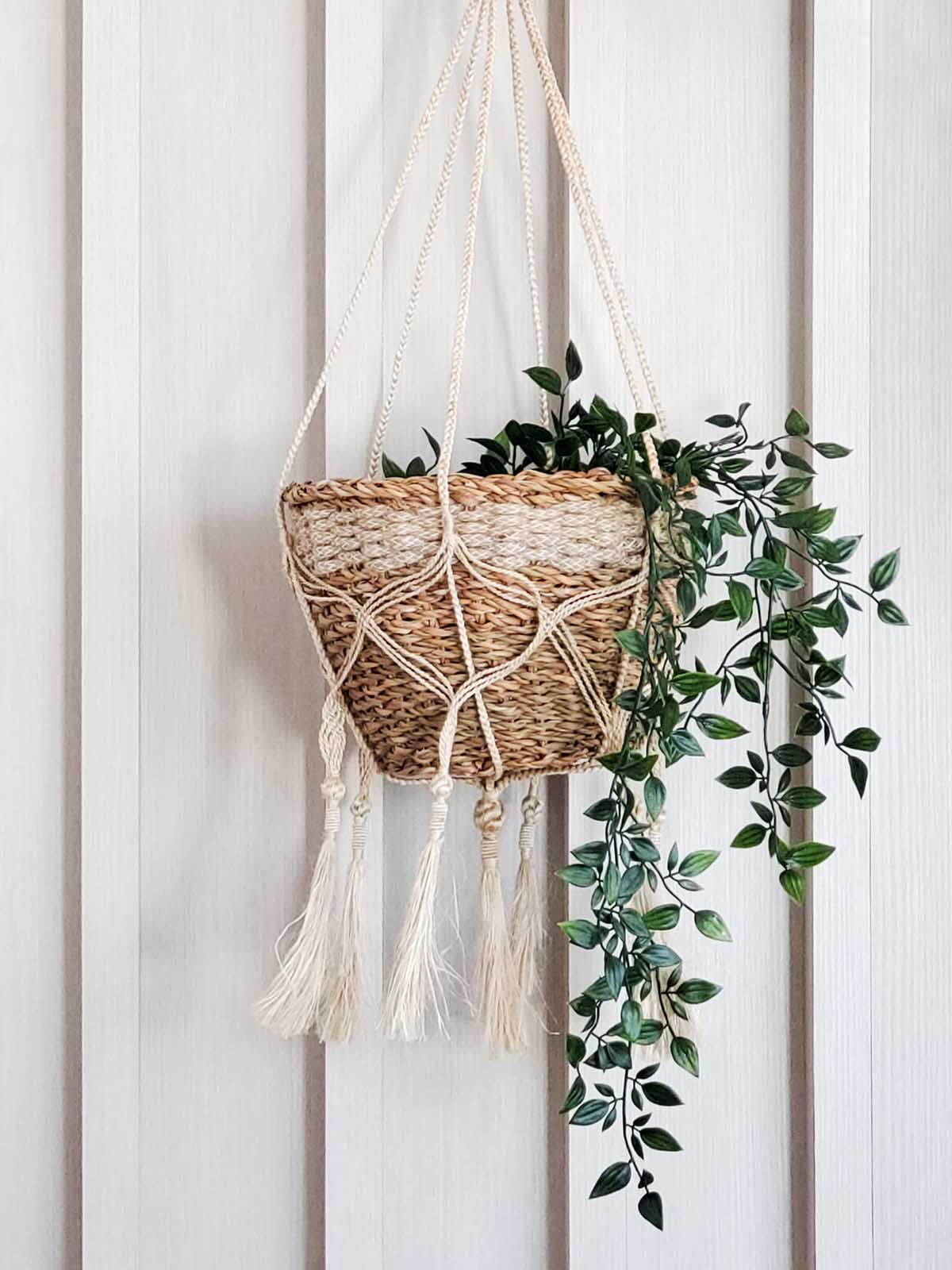 
                  
                    Plant Hanger - Bitan by KORISSA
                  
                