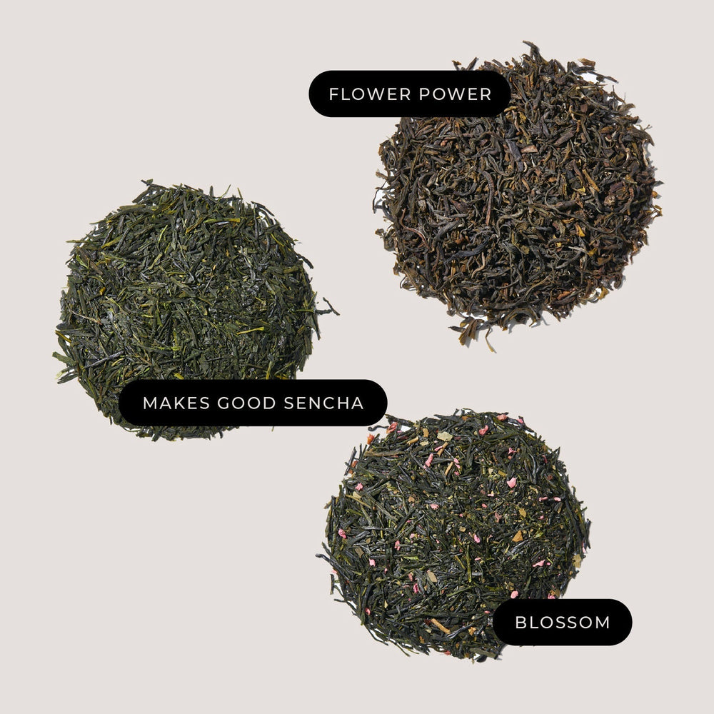 
                  
                    The Adventurer 8-Tea Bundle by Firebelly Tea
                  
                