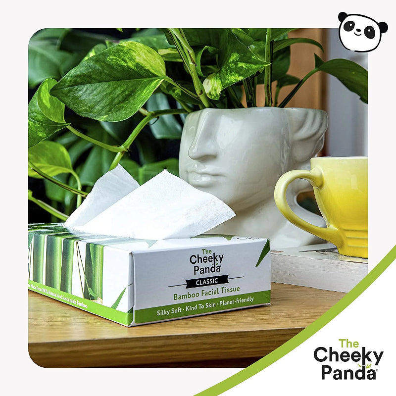 
                  
                    Plastic-Free Bamboo Tissues | 12 Flat Boxes | Eco Friendly
                  
                