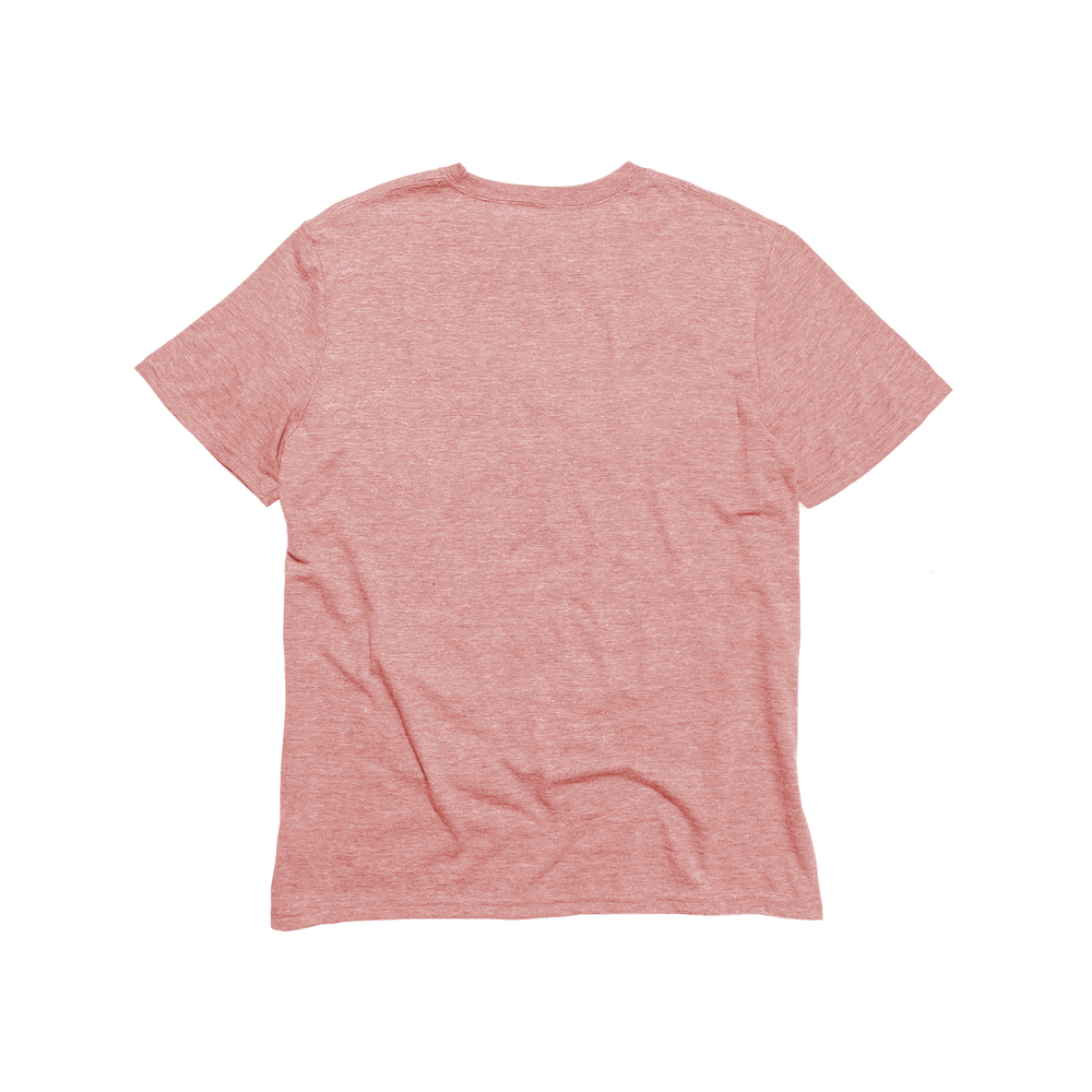 
                  
                    Unisex Eco-Triblend Tee (Fashion Colors)
                  
                