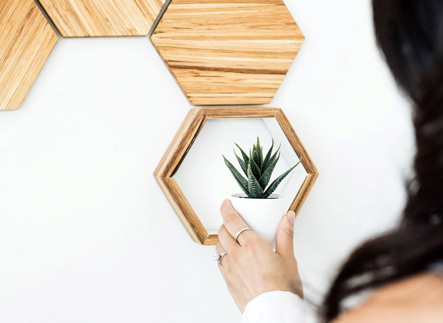 
                  
                    Wall Décor Set | Closed Loop Collection by EFFYDESK
                  
                
