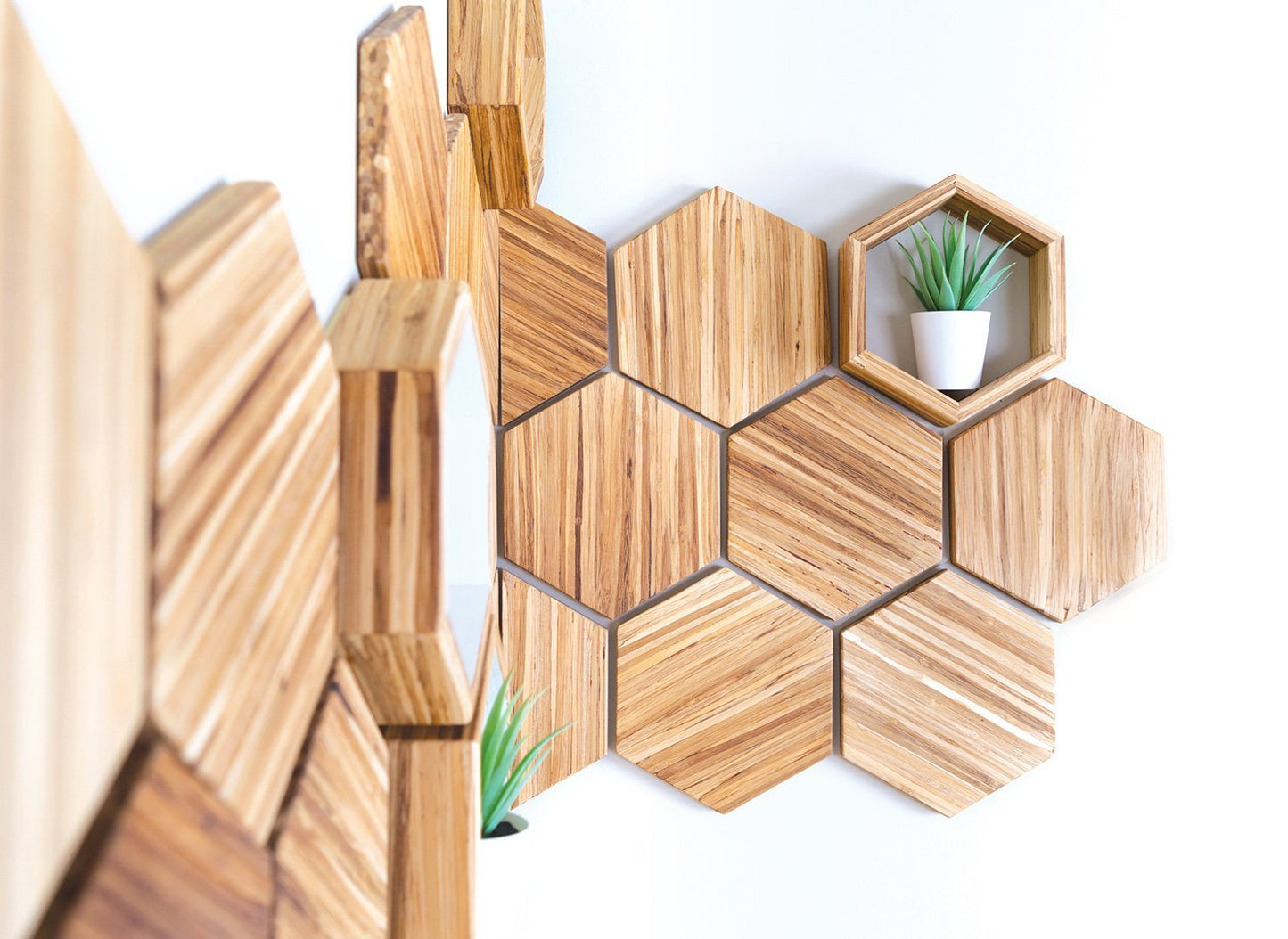 
                  
                    Wall Décor Set | Closed Loop Collection by EFFYDESK
                  
                