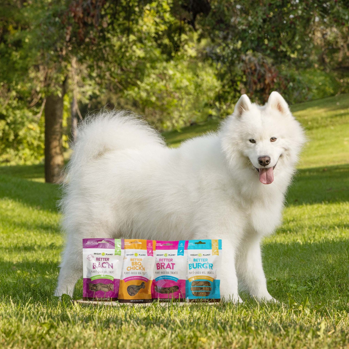 
                  
                    Meaty Variety Pack - 6oz Bags by Bright Planet Pet LLC
                  
                