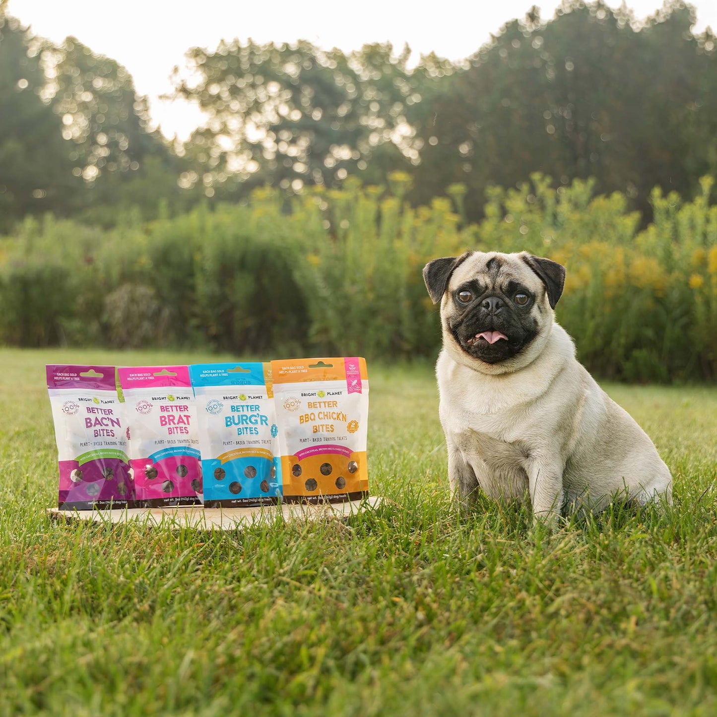 
                  
                    Training Treats Variety Pack - 5oz by Bright Planet Pet LLC
                  
                