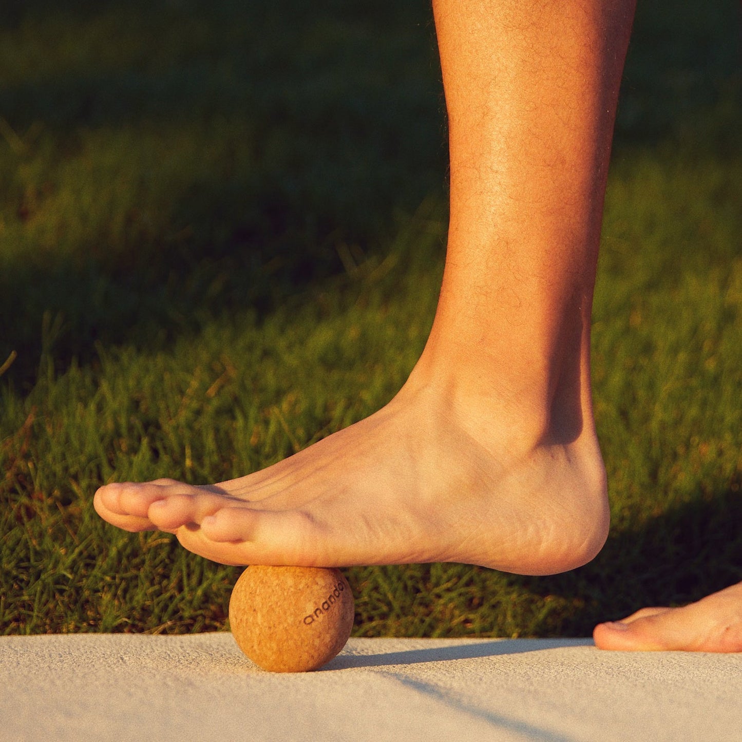 
                  
                    Cork Massage Ball Set by Ananday
                  
                