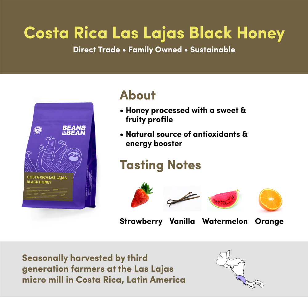 
                  
                    Costa Rica Las Lajas Black Honey by Bean & Bean Coffee Roasters
                  
                