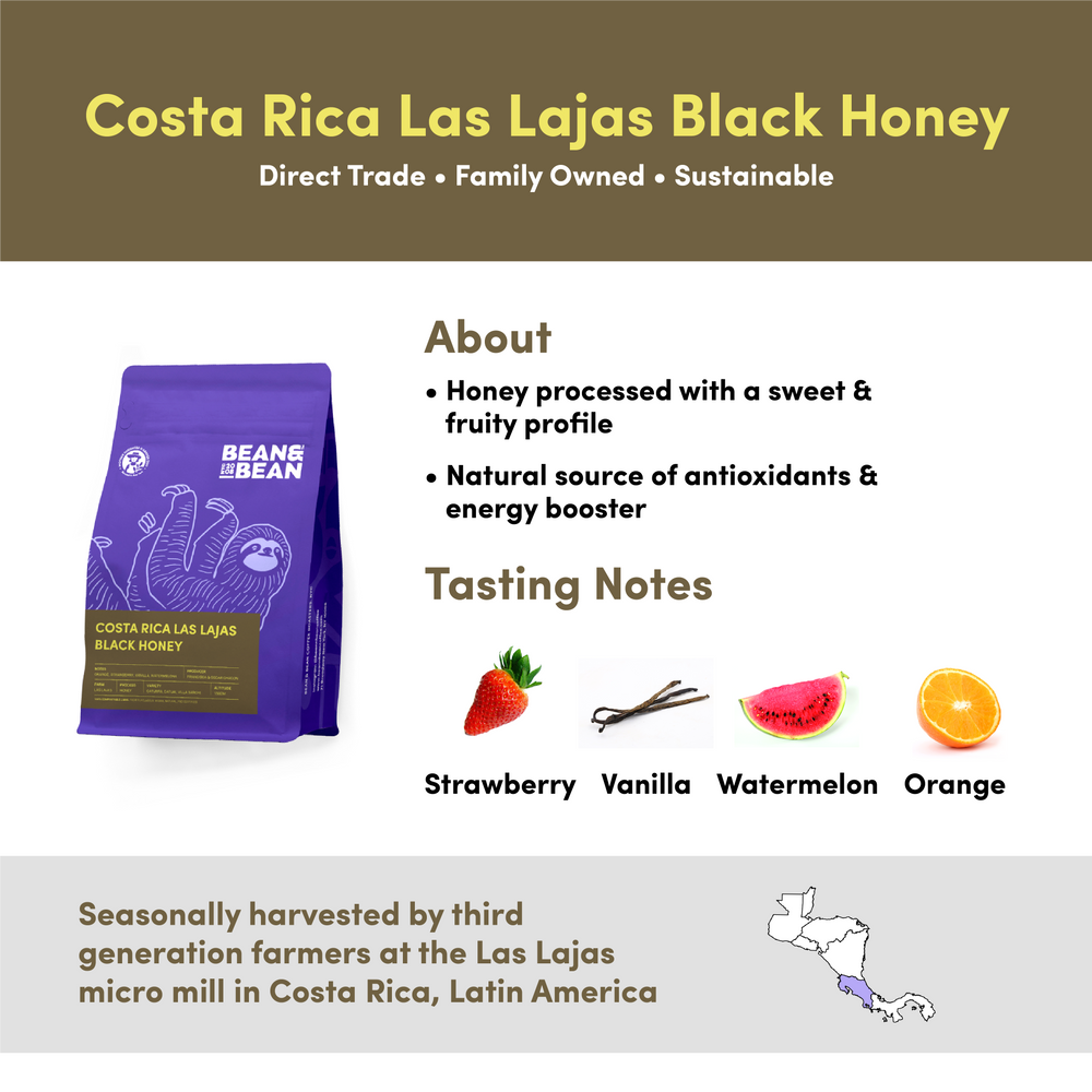 
                  
                    Costa Rica Honey Duo by Bean & Bean Coffee Roasters
                  
                
