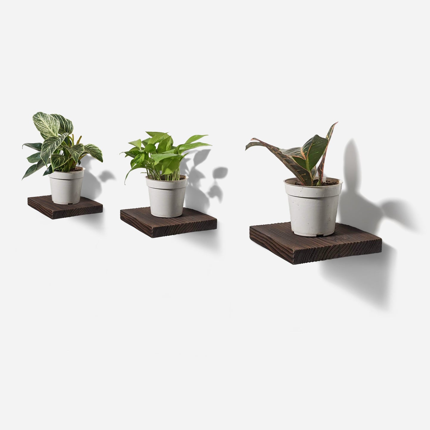 
                  
                    Chopped Shelf by Formr
                  
                