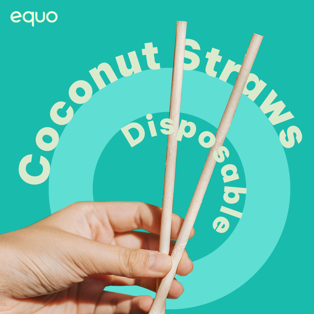 
                  
                    EQUO Coconut Drinking Straws
                  
                
