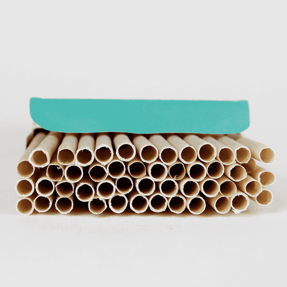 
                  
                    EQUO Coconut Drinking Straws
                  
                