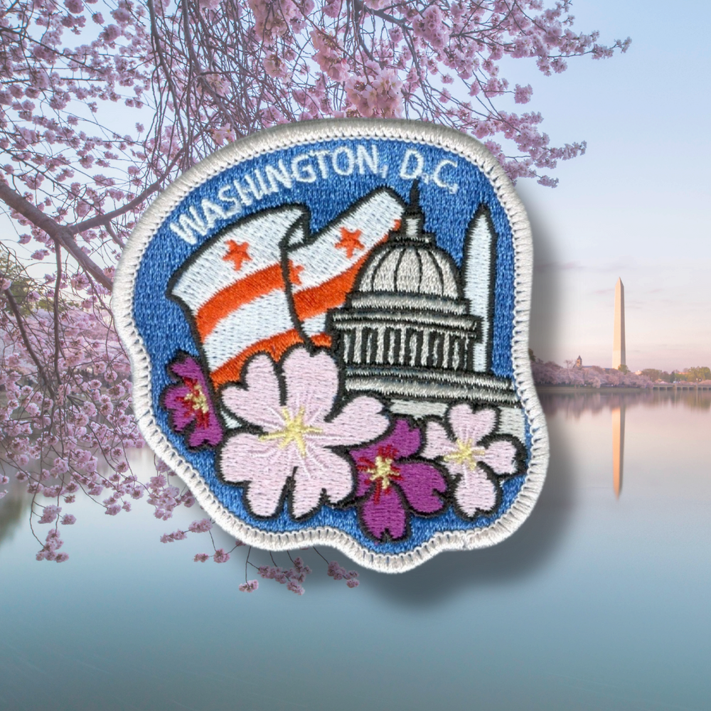 
                  
                    D.C. Cherry Blossoms by Outpatch
                  
                