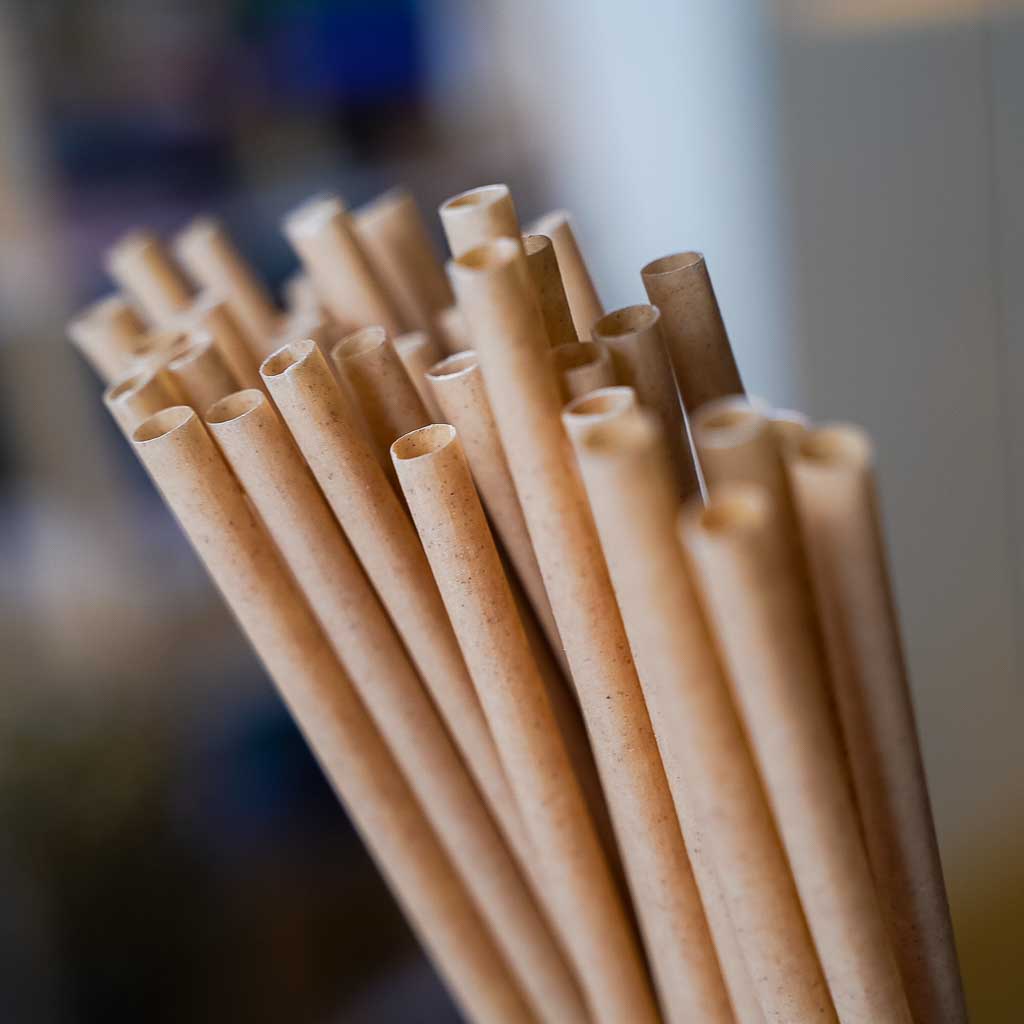 Natural Bamboo Straw, Compostable Wooden Drinking Straw 10's - Go-Compost  Drinking Straw