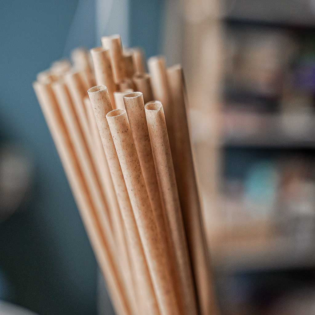 Sugarcane-Based Straws - Great Prices, Buy Now