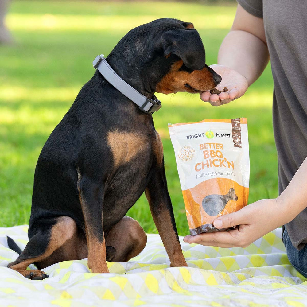 
                  
                    Better BBQ Chick'n Plant-Based Dog Treats by Bright Planet Pet LLC
                  
                