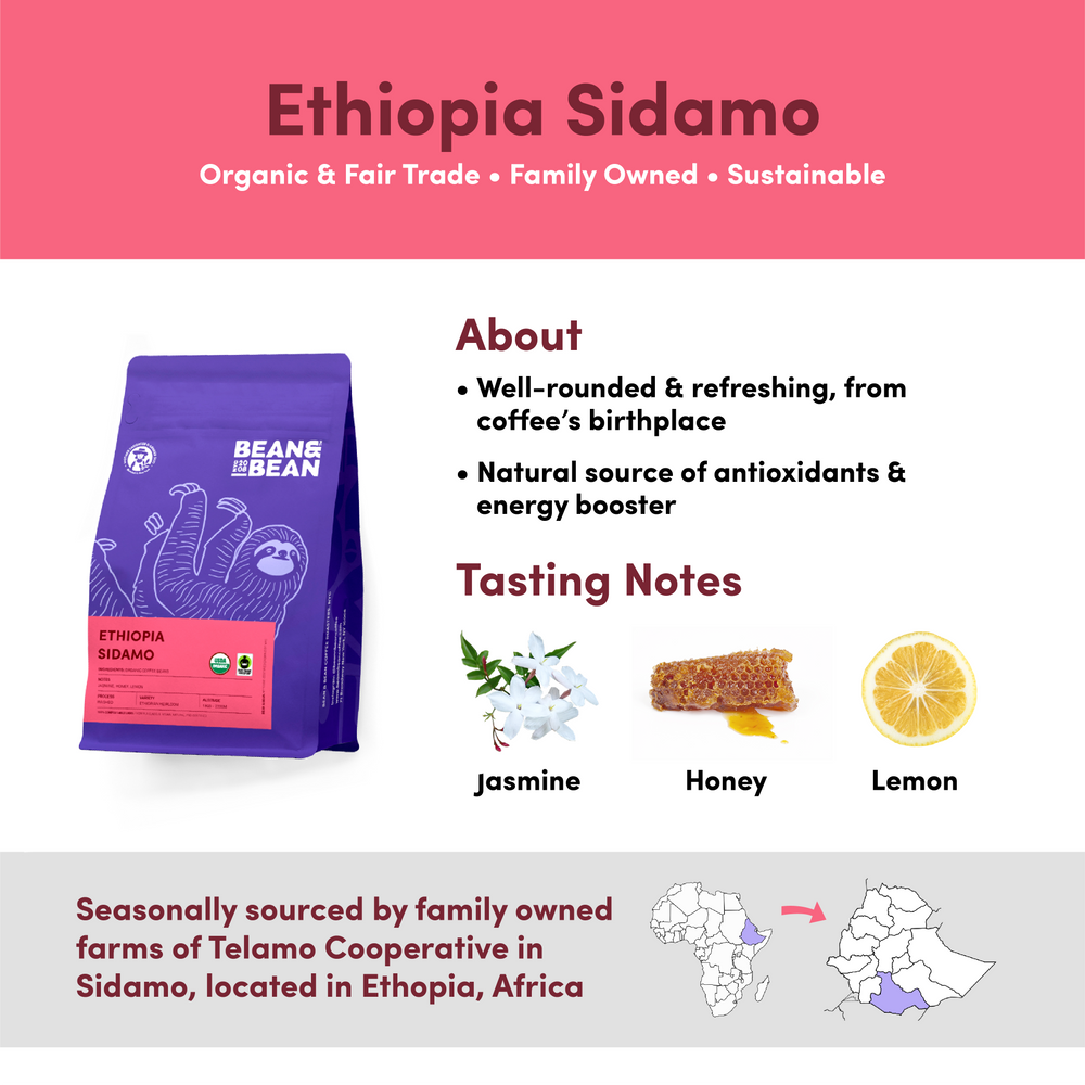 
                  
                    Ethiopia Sidamo by Bean & Bean Coffee Roasters
                  
                