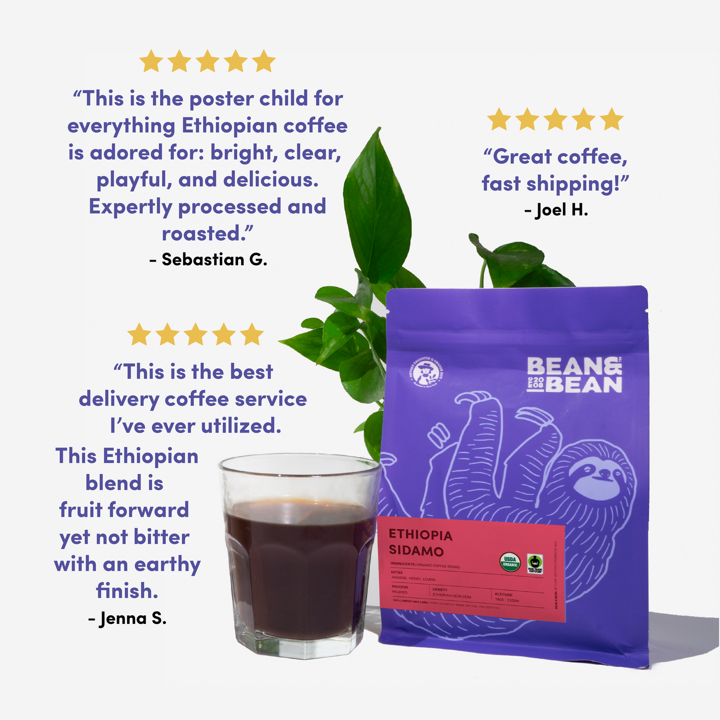 
                  
                    Ethiopia Sidamo by Bean & Bean Coffee Roasters
                  
                