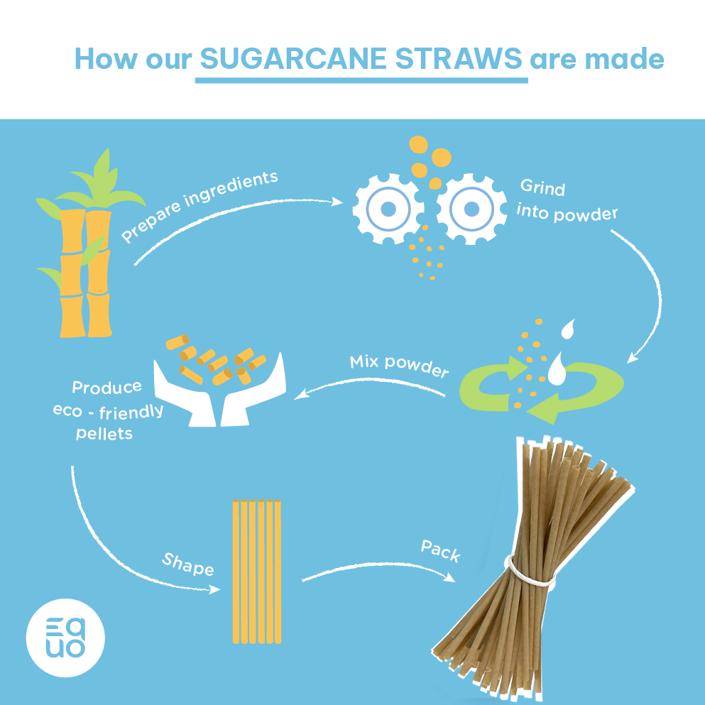 
                  
                    EQUO Sugarcane Drinking Straws (Wholesale/Bulk), Cocktail Size - 1000 count
                  
                