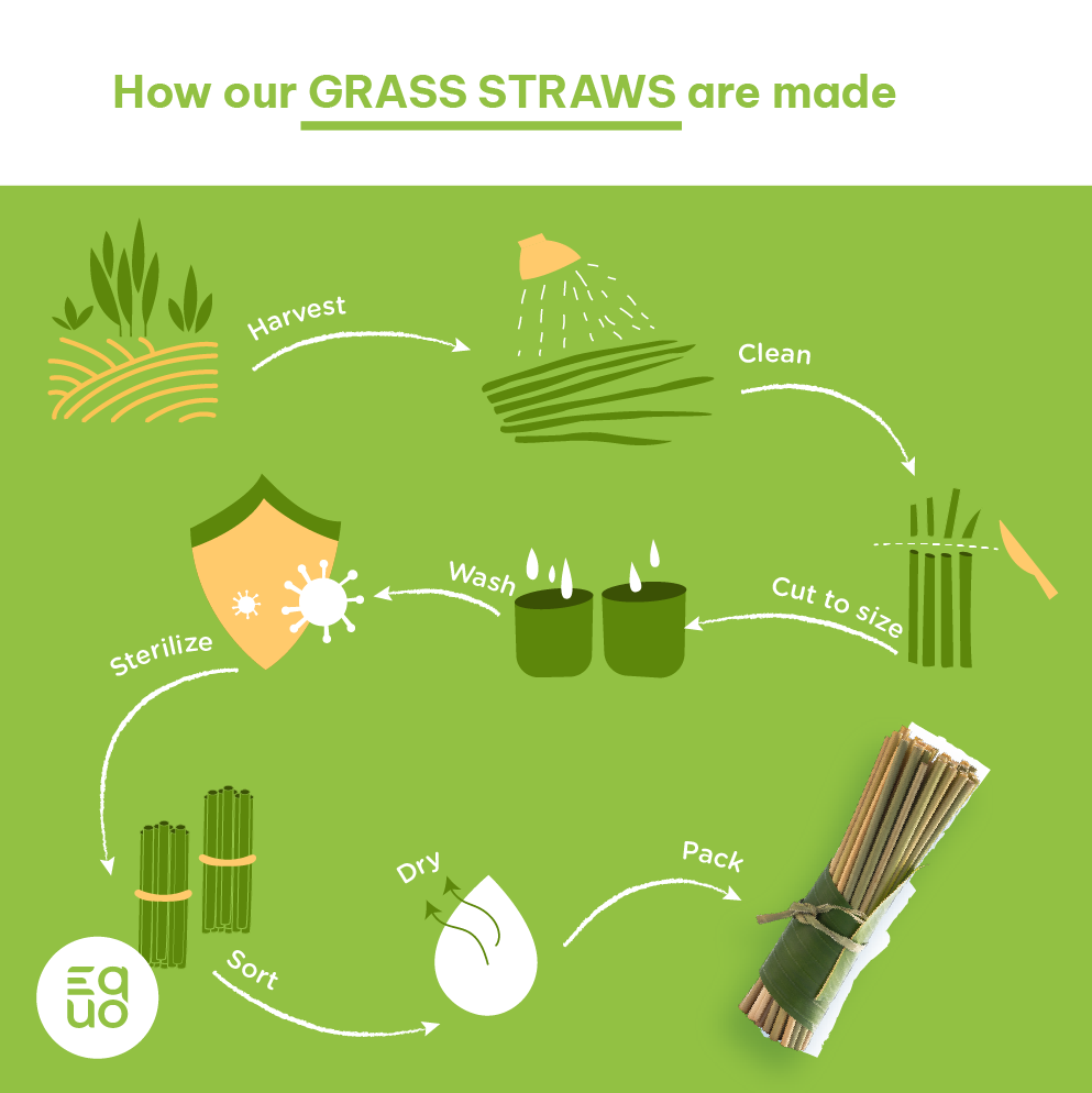 
                  
                    EQUO Grass Drinking Straws
                  
                