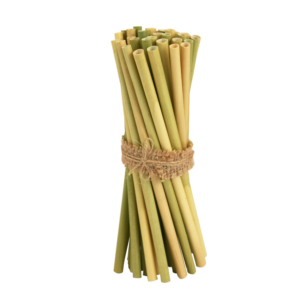 
                  
                    EQUO Grass Drinking Straws
                  
                