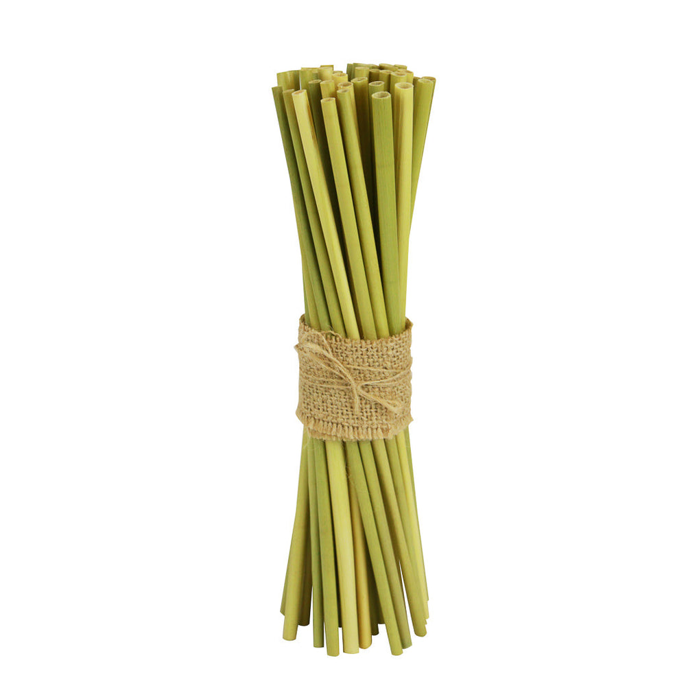 
                  
                    EQUO Grass Drinking Straws
                  
                