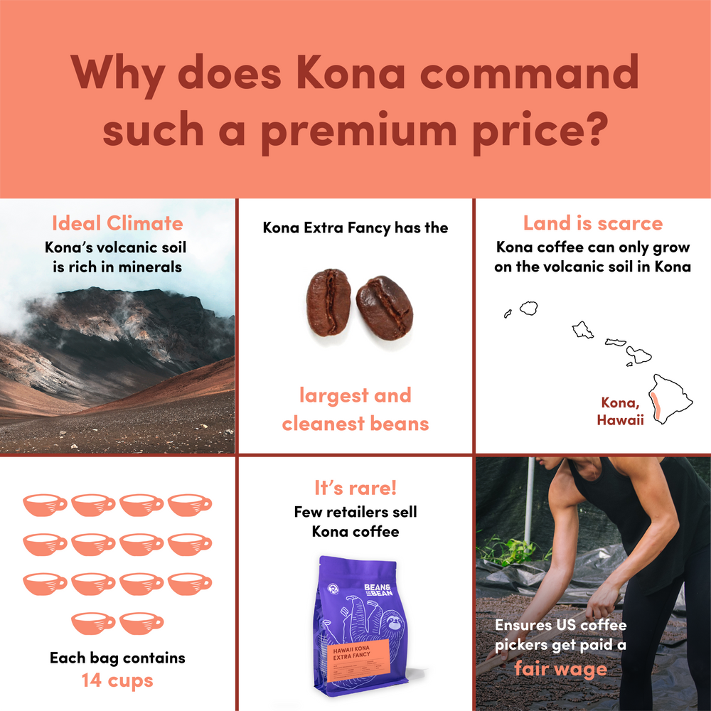 
                  
                    Hawaii Kona Extra Fancy Roast
                  
                