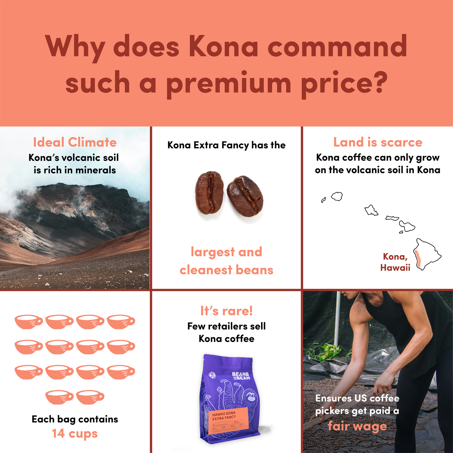 
                  
                    Hawaii Kona Extra Fancy Roast
                  
                