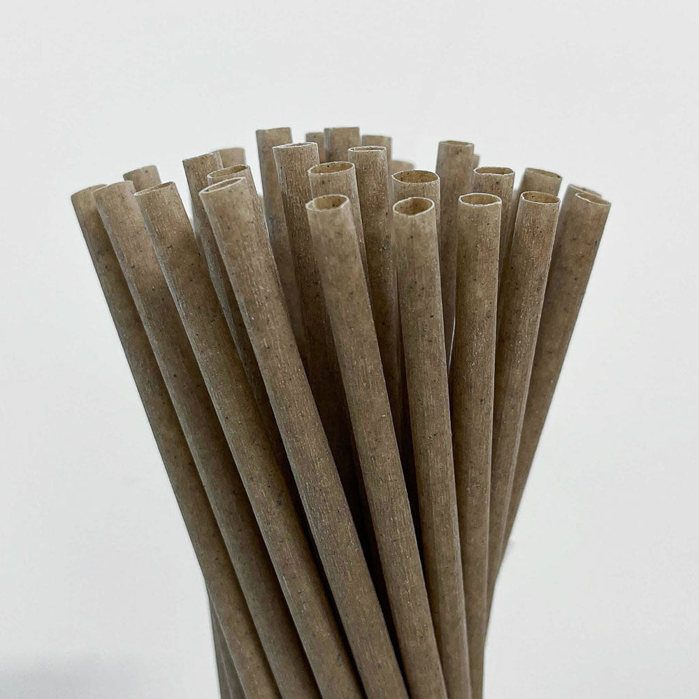 EQUO Coffee Drinking Straws (Wholesale/Bulk), Standard Size - 1000 count