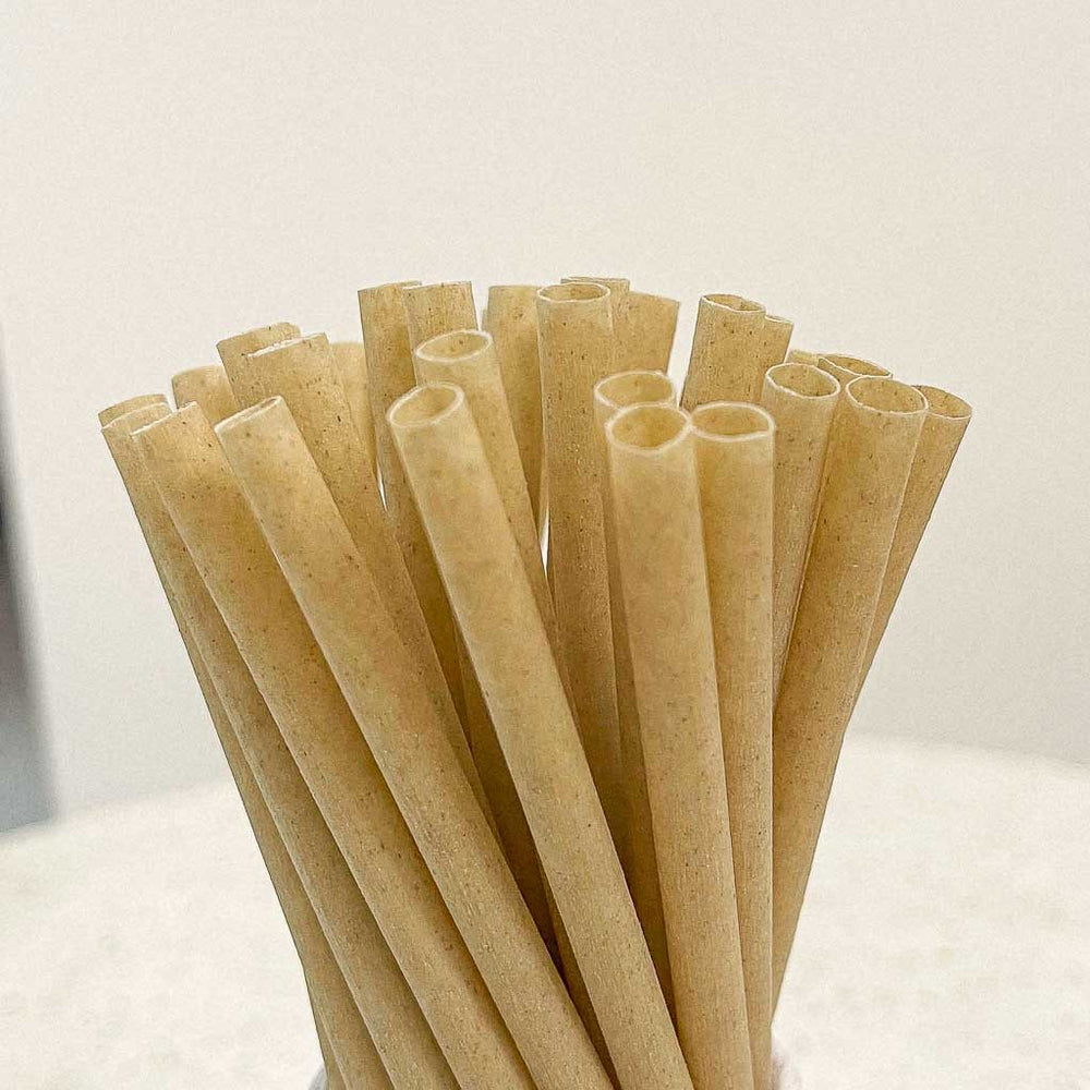 
                  
                    EQUO Sugarcane Drinking Straws
                  
                