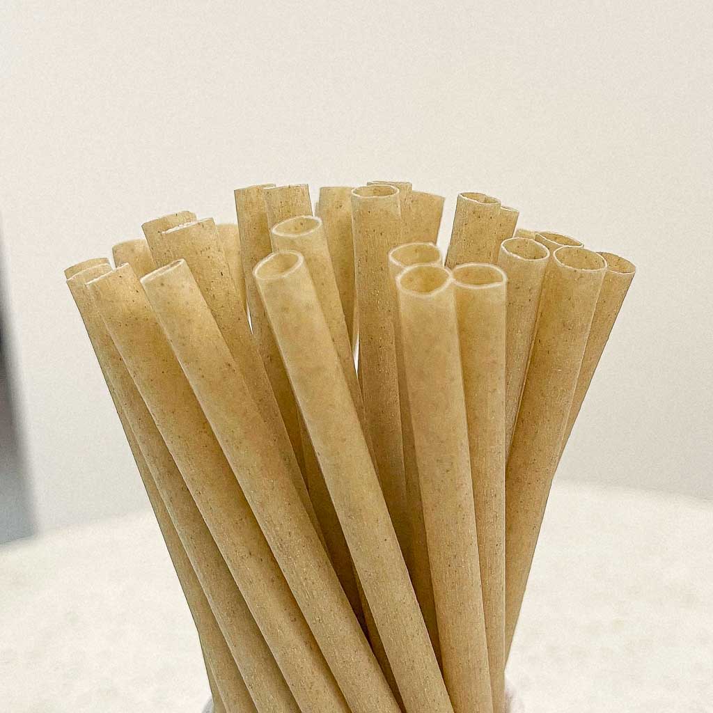 
                  
                    EQUO Sugarcane Drinking Straws (Wholesale/Bulk), Standard Size - 1000 count
                  
                