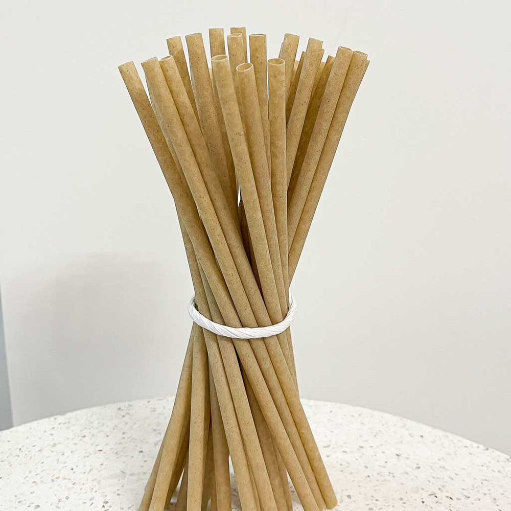 EQUO Sugarcane Drinking Straws (Wholesale/Bulk), Standard Size - 1000 count