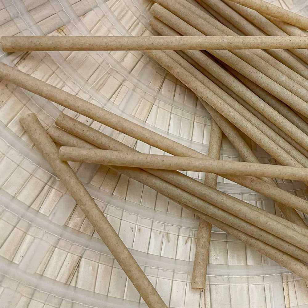 
                  
                    EQUO Sugarcane Drinking Straws (Wholesale/Bulk), Standard Size - 1000 count
                  
                