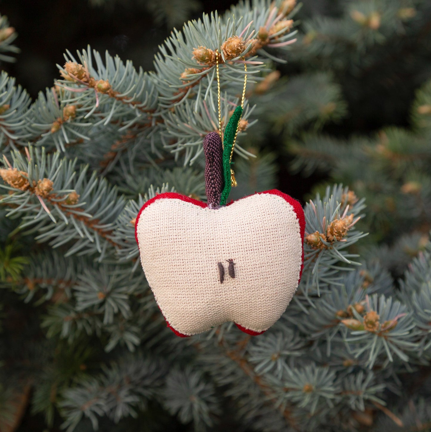 
                  
                    Apple Ornament
                  
                