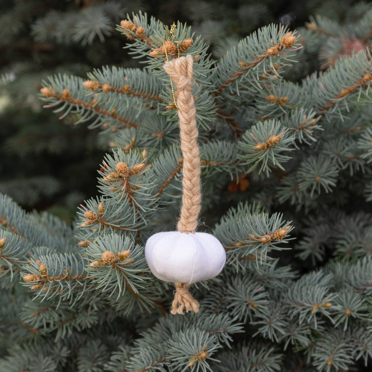 
                  
                    Garlic Ornament
                  
                