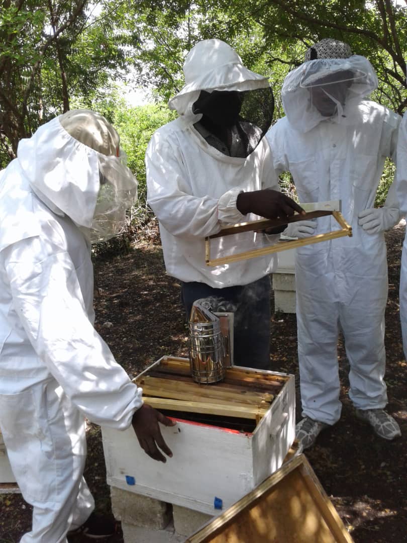 
                  
                    Haitian Natural Honey
                  
                