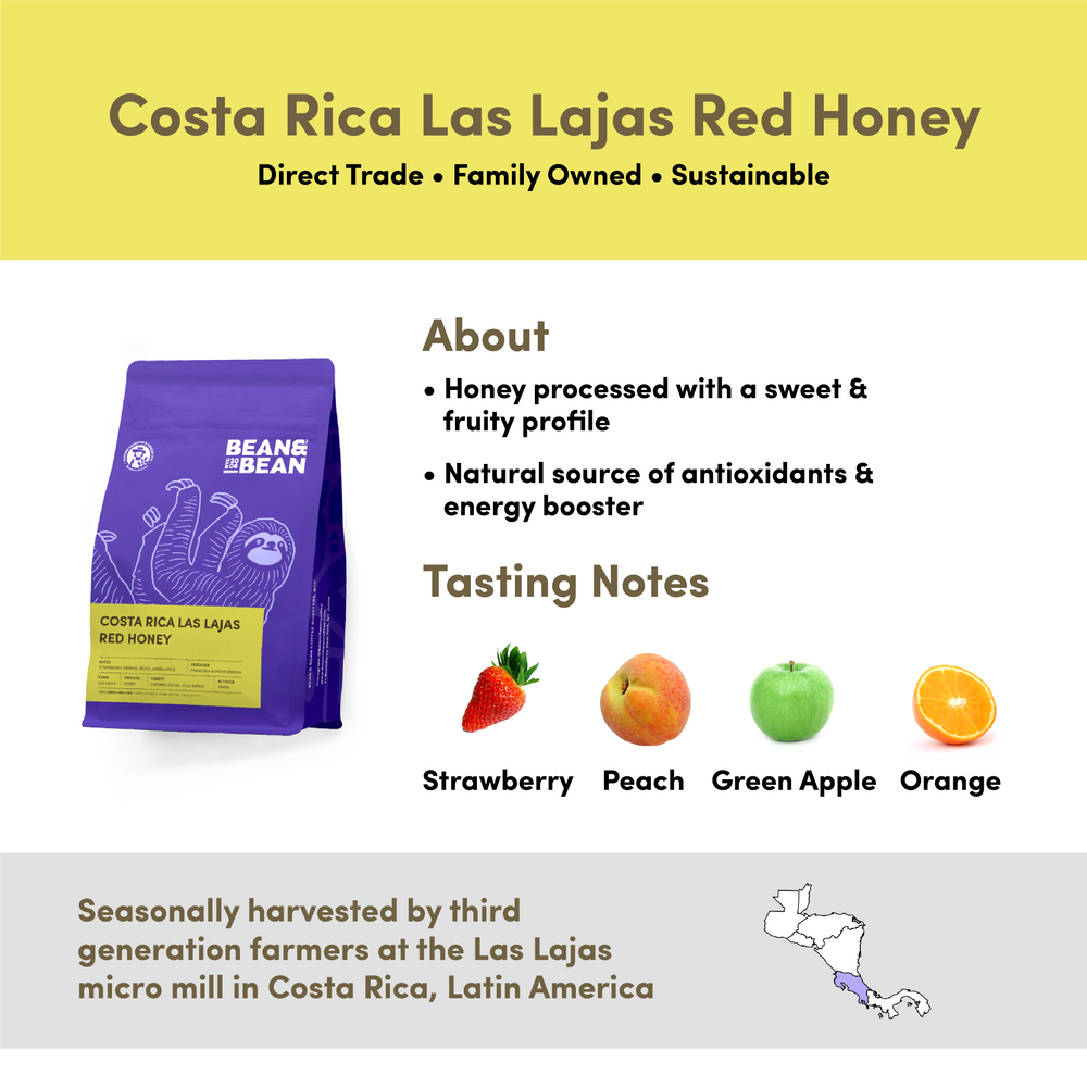 
                  
                    Costa Rica Las Lajas Red Honey by Bean & Bean Coffee Roasters
                  
                